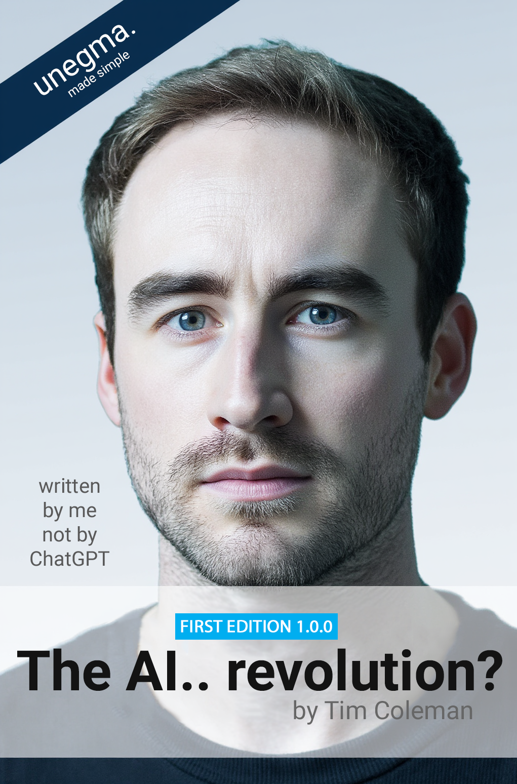 The AI.. Revolution? - E-Book